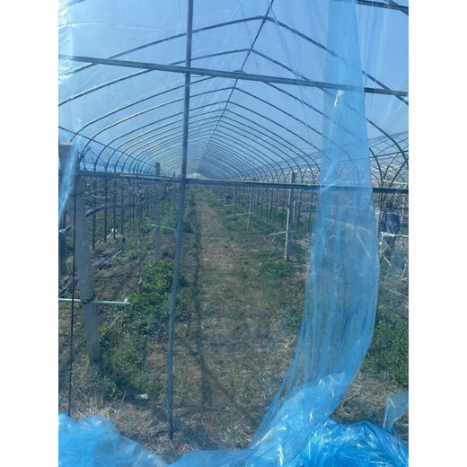 Greenhouse plastic film, non-drip film, agricultural greenhouse film, PO film, vegetable planting, anti-fog, high light transmittance, anti-aging, longevity film, blue film 10S imported longevity film, thickened, 2m wide, how many meters long, take a few pieces, send the whole picture