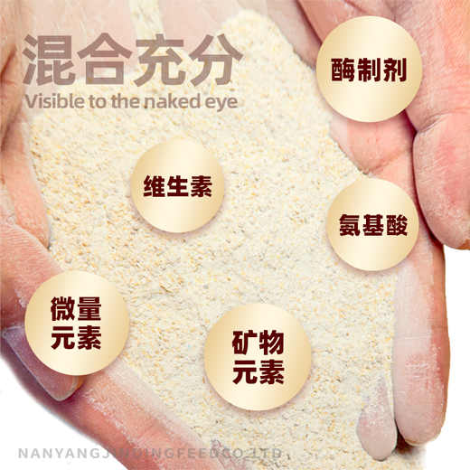 OIMG laying hen premix chicks native chicken free-range chicken breeding period egg production feed hen egg laying special material wholesale Jinding 5Jin Jin equal to 0.5 kg (small bag)