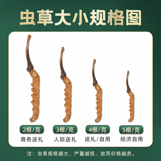 藏幽正宗冬虫夏草礼盒装滋补品头期干虫草送长辈父母领导营养品礼物 【严选品质】3根/克-10克-30根【送礼推荐】