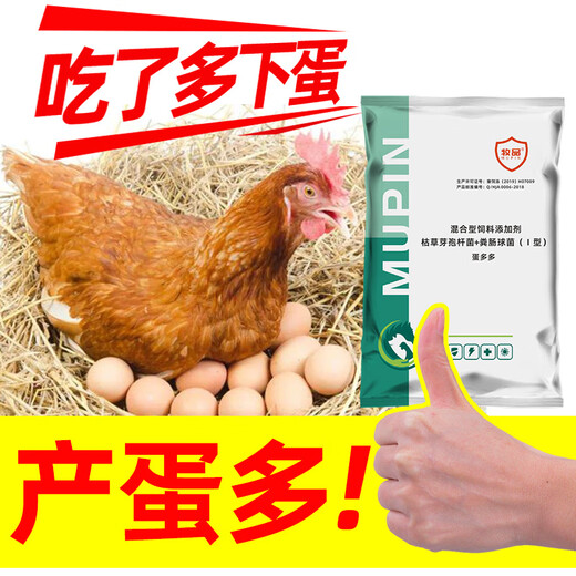 Dairy products Egg Duoduo Zengdanbao laying hens, ducks, geese, quails, rutin, chickens and pigeons with large and prolific egg-laying animal feed additives Danduoduo 500g/bag Mixing material 2000Jin Jin is equal to 0.5kg