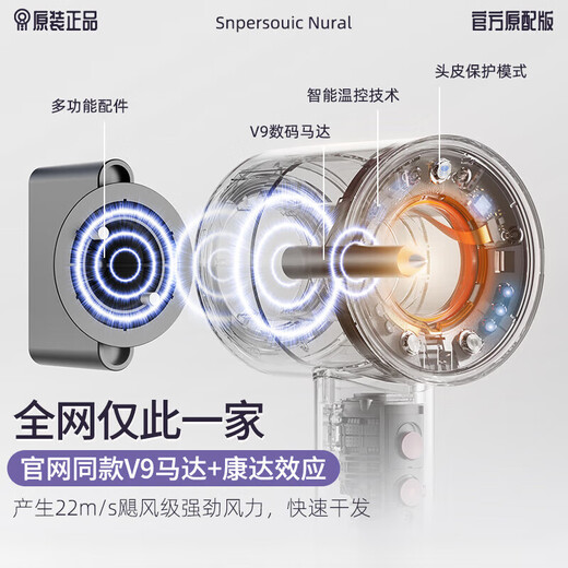 Sawang Germany Hair Dryer Home Silent Negative Ions High Power Non-Hazardous Hair Care Leafless Hair Dryer Quick-drying Portable Styling Hotel Hair Salon Girlfriend Wife Sunset Rose + Single Nozzle 3 Billion Negative Ions Professional Constant Temperature Hair Care