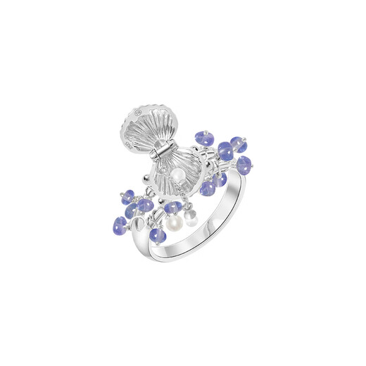 Chili 2025 Tanzanite Pearl Shell 925 Silver Ring Female Niche Design Can Open Treasure Secret Ring Mini Shell Box Tanzanite Ring No. 9
