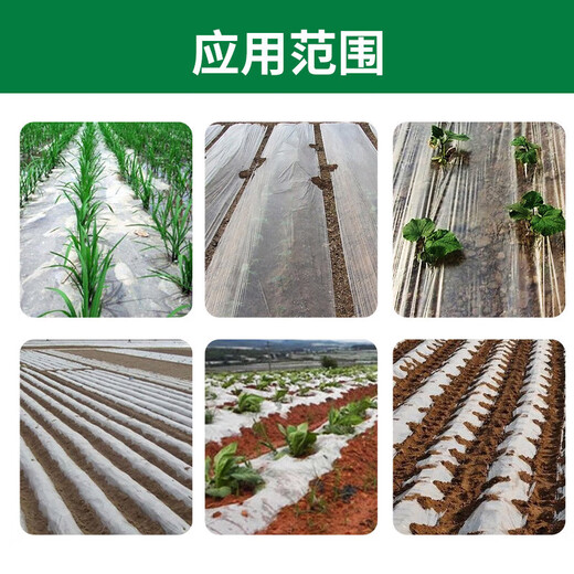 Seven-color rabbit plastic cloth film plastic film greenhouse film waterproof cloth dust-proof film insulation film anti-seepage film
