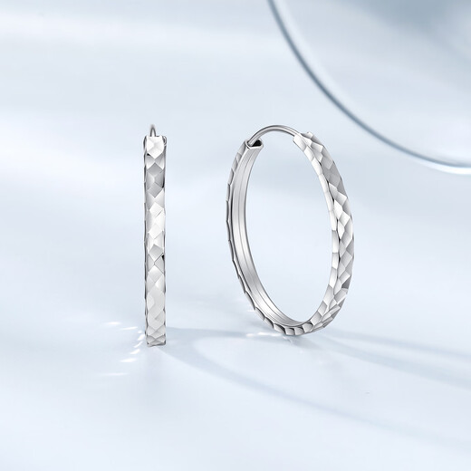 Chao Acer Platinum Earrings and Earrings for Women PT950 Earrings, Premium Earrings for Girlfriend, Priced at RMB 360, C Pair, 3.4g