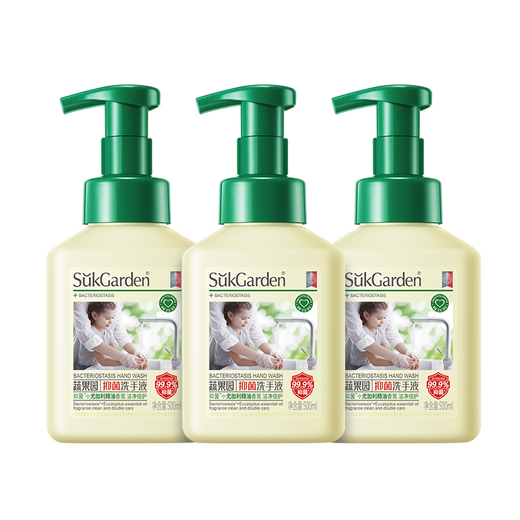 Fruit and vegetable garden antibacterial hand sanitizer household mild cleansing hand sanitizer 500ml*3 bottles
