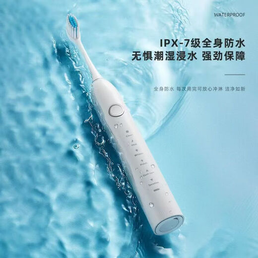 DSK电动牙刷充电款跨境成人款软毛自动声波充电式智能洁牙神器情侣款 白色【赠送8个刷头+旅行盒+支架】