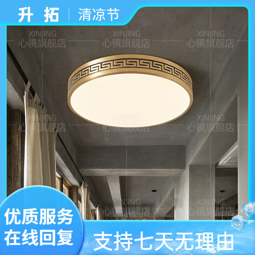 心镜全铜吸顶灯别墅入户灯室外防水阳台灯庭院过道走廊超薄防蚊虫顶灯 X3891-500/圆形