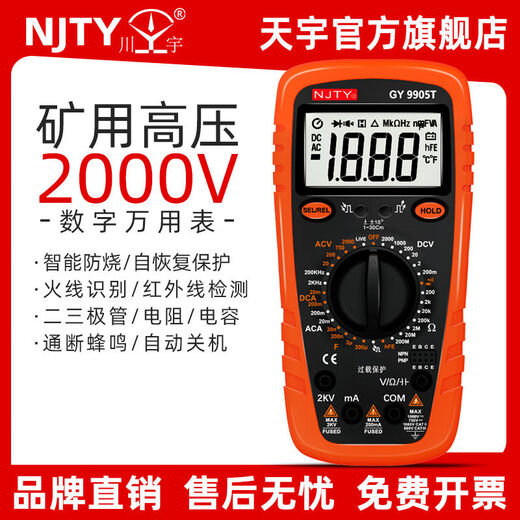 川宇（TY）2000V矿用数字万用表2KV高压矿场数显表防烧高精度 9905T原装标配