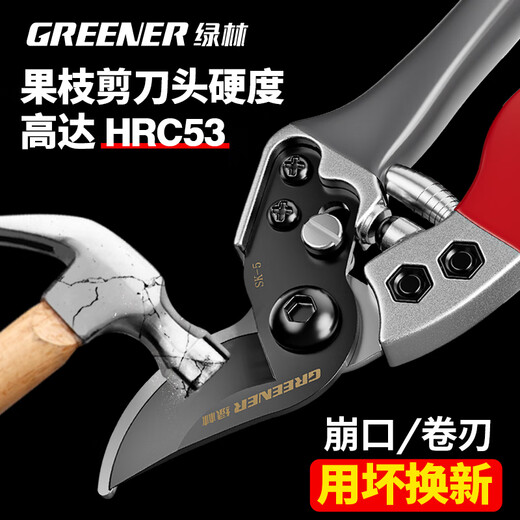 Shantou Lincun Japanese SK5 steel fruit tree gardening pruning shears, special scissors for cutting branches, flower shears, floral branch scissors, professional style SK5 steel + waist box_maintenance oil_elastic