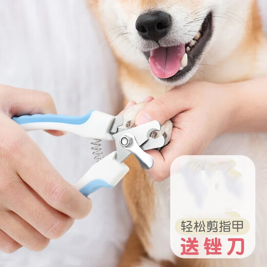Dipur Cat Nail Clippers Pet Teddy Cat Nail Clippers Nail Clippers Small, Medium and Large Dog Nail Clippers Supplies* Blue