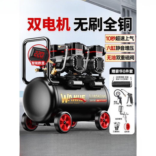 Luftkompressor aufblasbare Pumpe Kleine 220-V-Tragbare Industriegrades Holzbearbeitung Stummer Hochdruck Luftpumpe Luftkompressor 3990W-20L [Dual Solenoid Ventil + All Copper Pinsel + 3180W/3890W/3990W/4290W