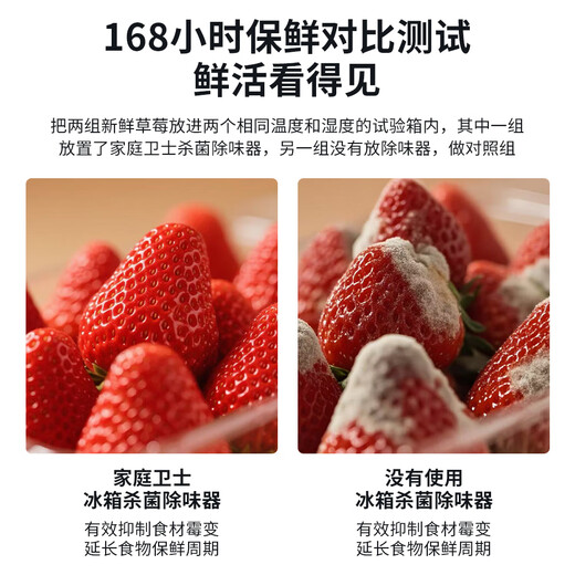 84 Refrigerator Deodorizer 0 Consumables Ozone Deodorizer Box Disinfection Sterilizer Deodorizer and Deodorizer Extended Freshness Preservation 2500mAh 365 Days Only Replacement No Repair