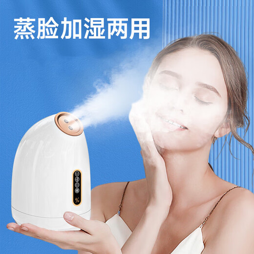 Relieve dryness, facial steamer, hot and cold dual-spray face steamer, household moisturizing nano-spray facial mask hydration device, fully upgraded, daily good things for women and men in autumn and winter, pure white Z16