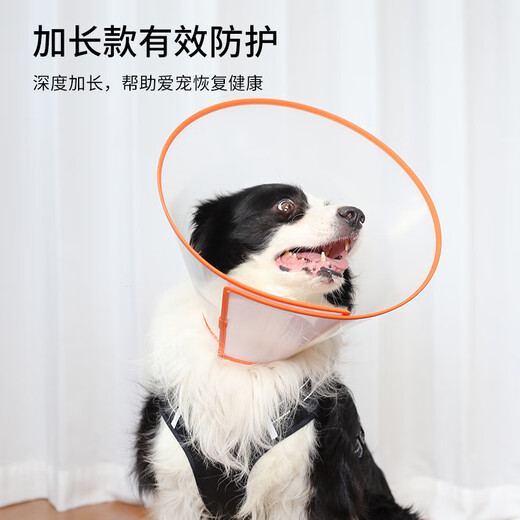 Pet Elizabethan collar cat and dog collar waterproof headgear extended neck collar collar anti-licking and anti-biting protection ring No. 6 single pack