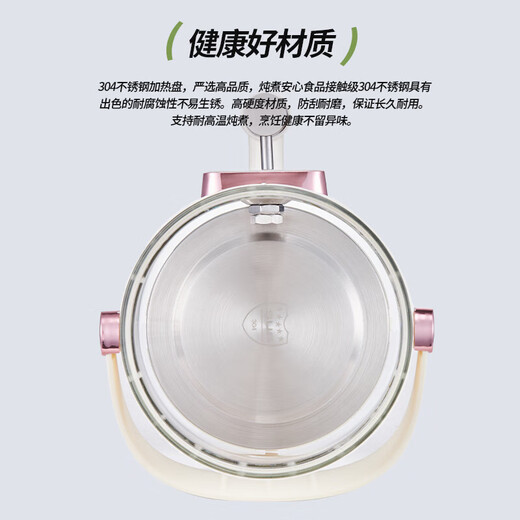 SUBOAER Health Pot 4.5L Large Capacity 316 Heating Plate Multifunctional Household Tea Boiler Stewing Pot Integrated Water Temperature Wine Boiling Teapot Boil Kettle Boiling Kettle Flower Tea Bucket 4.5L Thickened Tea Leak 316 Heating Plate + 10H Constant Temperature Full Glass