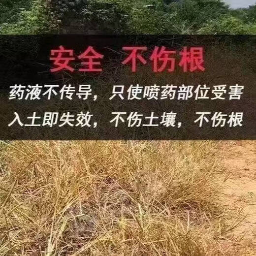 Precise glufosinate ammonium salt herbicide, root rot powder, weed removal, water peanut, cow tendon, herbicide, glyphosate, genuine refined glufosinate ammonium, 1 large barrel, 5000g