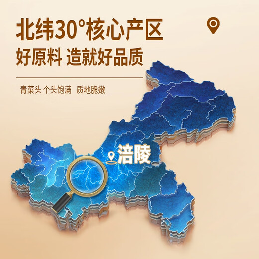 Aichuan East Fuling pickled mustard 42g*5 packaged rice pickles, fresh crispy pickled mustard shreds, light Fuling specialty pickled mustard porridge for breakfast