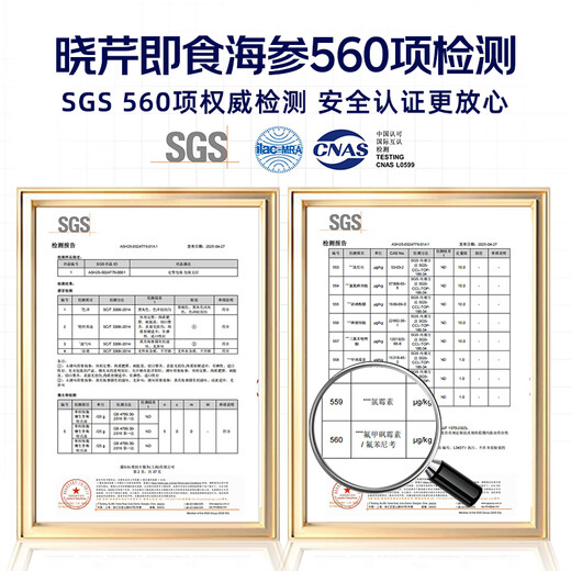 Xiaoqin Dalian frozen ready-to-eat sea cucumber 500g 10-14 pieces Liao sea cucumber seafood and aquatic products New Year's goods