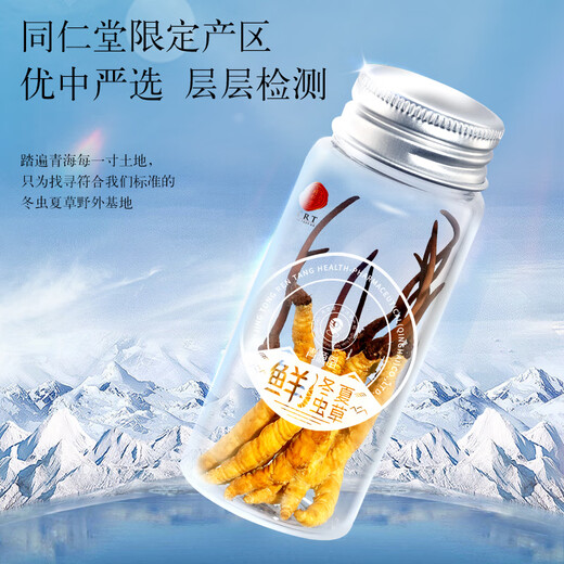 同仁堂品牌 北京同仁堂 鲜虫草冬虫夏草新鲜虫草礼盒无断草送礼送长辈 1盒 30g 2A鲜虫草50根0.6-0.8克/条