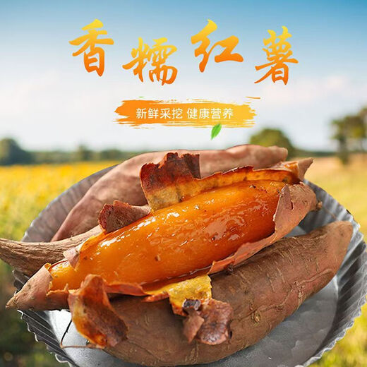 Fresh Shadi Tobacco Potato No. 25 Tangxinliu Oil Sweet Potato Sweet Potato Breakfast Essential Supermarket Jingdong Really Cheap 5Jin Jin is equal to 0.5kg with box Zhongdaguo (from 3 taels)