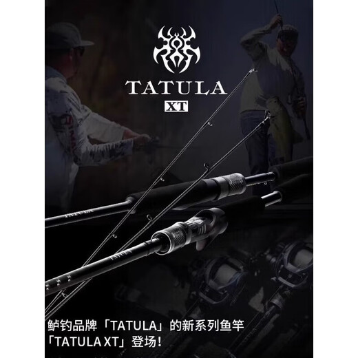DAIWA 24 new product TATULAXT spider bass rod mandarin fish universal lure long throw rod 2.03m 682MLFS [straight handle two sections fast adjustment