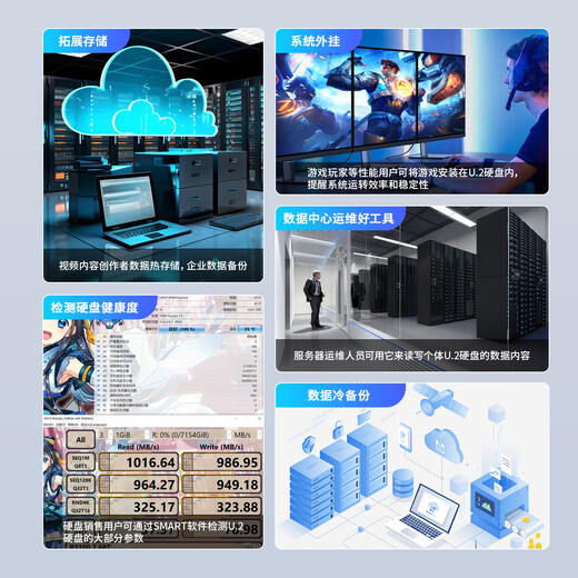 雷掣u2硬盘盒u.2 nvme硬盘底座SFF-8639转USB读取器 标准版