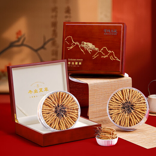 首养堂冬虫夏草3根/g 20克虫草礼盒新干冬虫草补品送父母