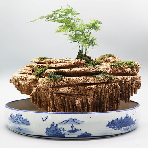 Water-absorbing stone 10-160CM natural water-absorbing stone raw stone water stone stone mountain bonsai rockery fish tank landscaping ornaments micro only stone 40-44 water-absorbing stone package