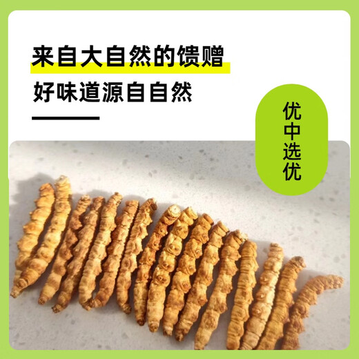 冬虫夏草全肉断草甄选断虫草整肉节虫草大断草性价比高补品营养品 西藏那曲精品整肉条 100克送10克