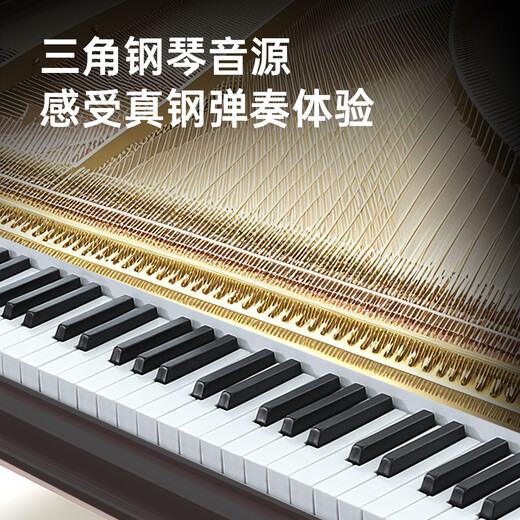 Bei Duochen 88 heavy hammer key electric piano for adults, children, beginners, home, professional level 10 electronic piano, black + 88 velocity keys, single pedal + official standard configuration