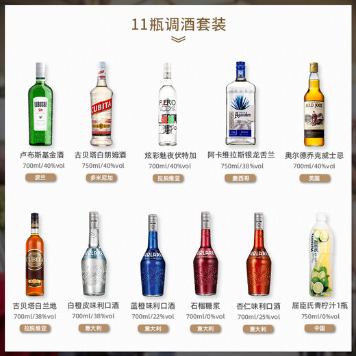 卢布斯基原装进口洋酒自调鸡尾酒套装六大基酒威士忌伏特加朗姆金酒龙舌兰 11瓶套装（含酒具款）