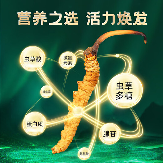 藏幽正宗冬虫夏草礼盒装滋补品头期干虫草送长辈父母领导营养品礼物 【严选品质】3根/克-10克-30根【送礼推荐】