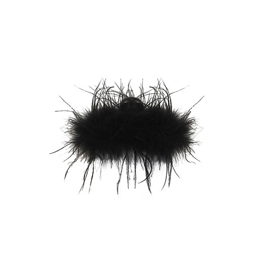 Two Worlds Feather Clip Women's Back Hair Clip High-end Hair Accessories High-end Clip 2025 New Hair Hair Clip Shark Clip Black Medium Size 9.5CM Shows More Hair