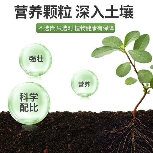 Smart Green Compound Fertilizer Universal Nitrogen, Phosphorus and Potassium Fertilizer for Flowers, Vegetables and Fruit Trees Agricultural Fertilizer Granular Fertilizer Medium Element Water-soluble Fertilizer Universal Granular Fertilizer 400g*2 Bags Limited Time Benefits