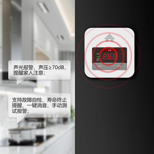 Setwell gas alarm natural gas alarm home kitchen flammable gas liquefied gas detector elderly gas leak detection
