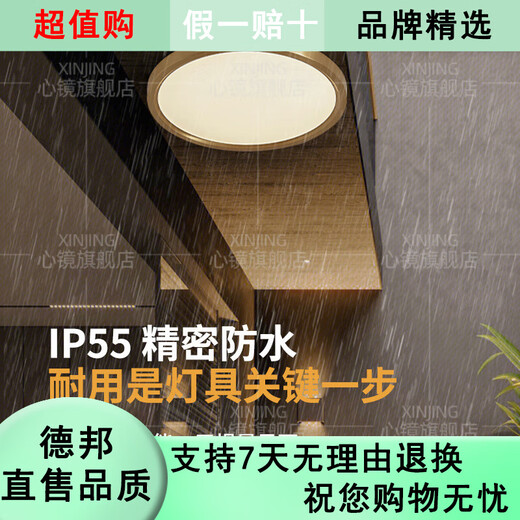 心镜全铜户外吸顶灯别墅大门口超薄门前灯室外过道阳台灯防蚊虫庭院灯 X3893-800/方形