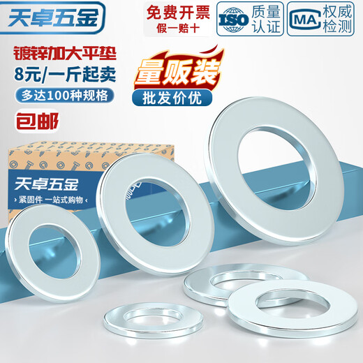 Tianzhuo Hardware carbon steel galvanized flat pad metal gasket extra large round thickened screw washer M3M4M5M6M8M10M12 M2*5*0.5 10000 pieces