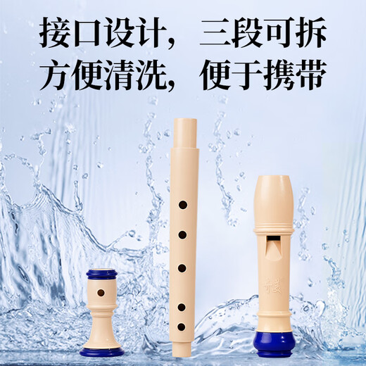 Chimei Little Doctor 8-Loch-Klassenzimmerinstrument, hohe 8-Loch-Blockflöte im deutschen Stil (Leinentasche, mit Spielanleitung)