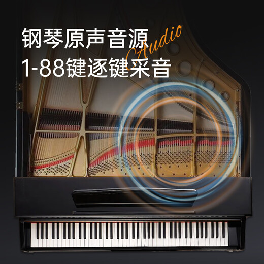 Beethostar B101 electric piano with 88 heavy hammer keys, adult and children's electronic piano for beginners, entry-level home professional grade ten test, B100 elegant black, recommended for beginners + 88 gravity keys, standard configuration