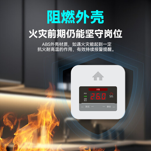 Setwell gas alarm natural gas alarm home kitchen flammable gas liquefied gas detector elderly gas leak detection