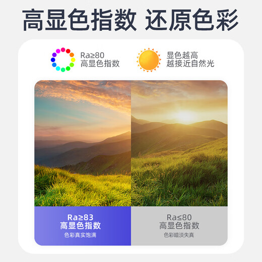 Philips (PHILIPS) ceiling lamp wick LED lamp panel lamp panel modification module wick 25W white light (6500K) diameter 217.5mm