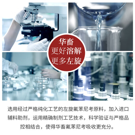 Chinese animal medicine florfenicol powder respiratory disease pig poultry chicken duck goose serositis enteritis medicine