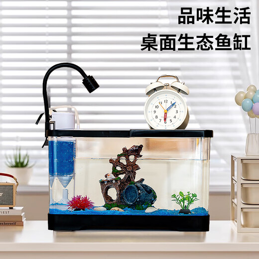 Turtle tank household landscaping filter circulation sun terrace climbing platform acrylic ecological mixed fish tank small turnover box three-in-one filter