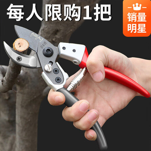Arrizo flower scissors, gardening scissors, pruning shears, branch scissors, scissors, fruit tree picking, tea and fruit artifacts, labor-saving metal handle type (SK5 steel blade)