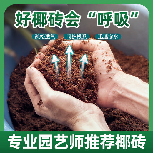Питательная почва из кокосового кирпича для выращивания цветов, универсальная цветочная почва для растений из кокосовых отрубей, растительная почва, опресняющее удобрение, сочная почва, посадочная почва, 650 г маленьких кокосовых кирпичей * 2 шт.