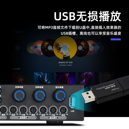ZUU's new front-end effector professional karaoke home karaoke balanced vocal front karaoke audio simulation advanced singing speaker equipment ktv K160 effector wireless microphone + male to female XLR cable
