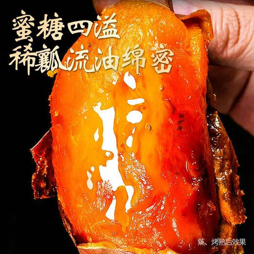 Fresh Shadi Tobacco Potato No. 25 Tangxinliu Oil Sweet Potato Sweet Potato Breakfast Essential Supermarket Jingdong Really Cheap 5Jin Jin is equal to 0.5kg with box Zhongdaguo (from 3 taels)