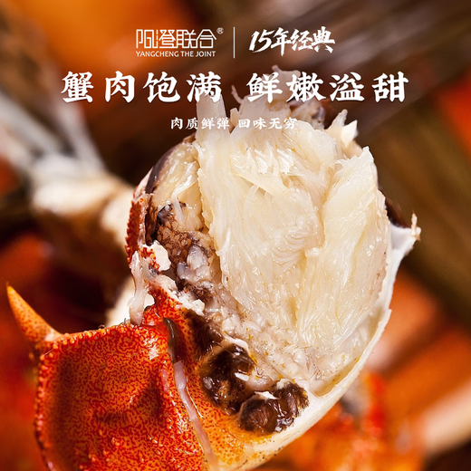 Live Crab Yangcheng United Fresh Hairy Crabs in Stock Male 4.0-4.3 Liang Female 3.0-3.3 Liang 4 Pairs of 8 Crabs Seafood Gift Box
