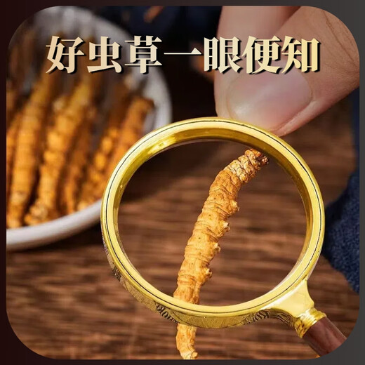 Pékin Tongrentang Cordyceps même qualité Cordyceps Boad Cordyceps Boad Boîte de santé Produits de santé Suppléments nutritionnels Cordyceps King Médicaments Médicaments 50 Boîtes-cadeaux (Spécifications 3 bâtons par gramme)