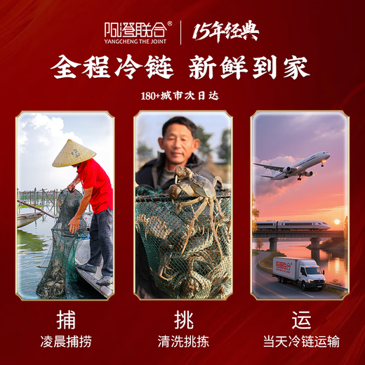 Live Crab Yangcheng United Fresh Hairy Crabs in Stock Male 4.0-4.3 Liang Female 3.0-3.3 Liang 4 Pairs of 8 Crabs Seafood Gift Box